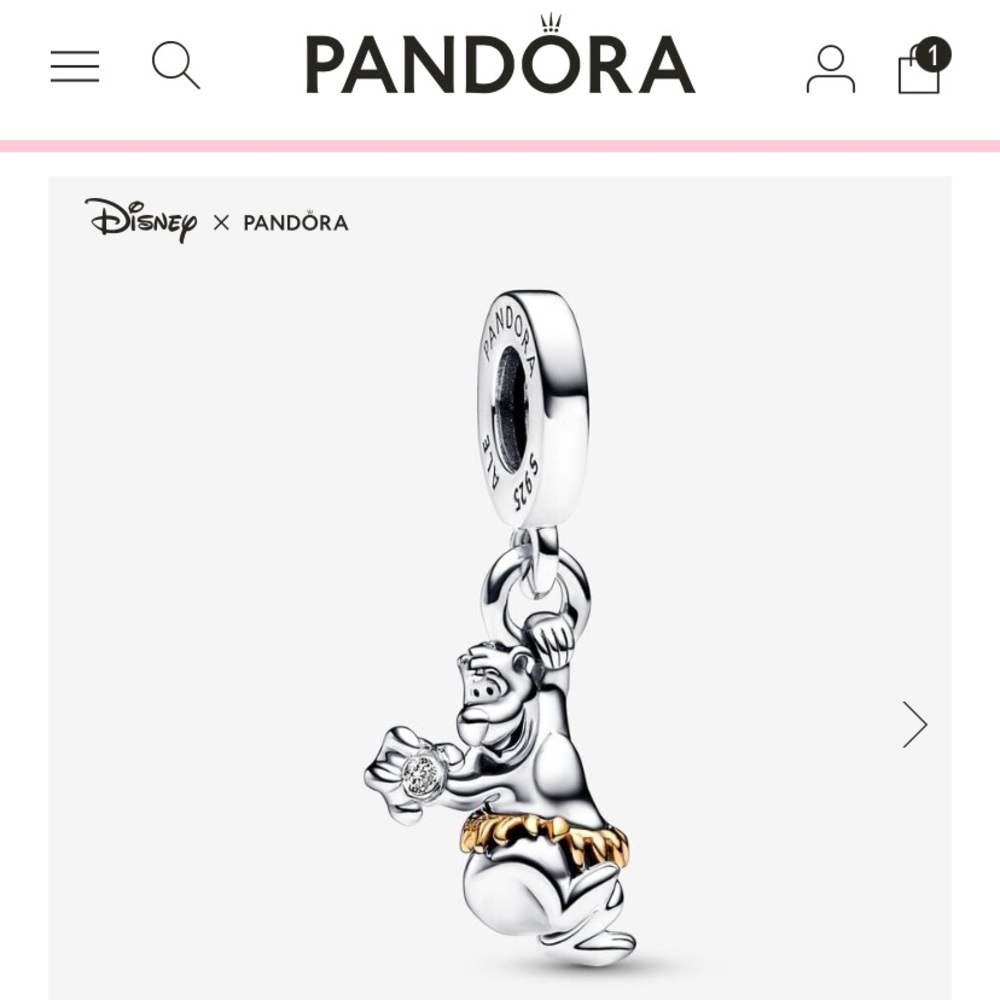 Pandora D100 Baloo Charm